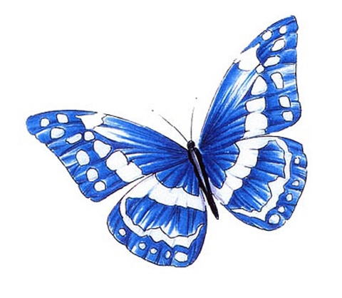 ���񹮽� õ�繮�� ������, ����Ÿ�� õ��Ÿ�� �� Ÿ��