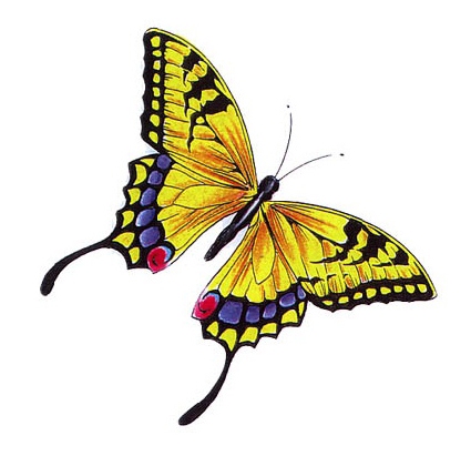 ���񹮽� õ�繮�� ������, ����Ÿ�� õ��Ÿ�� �� Ÿ��