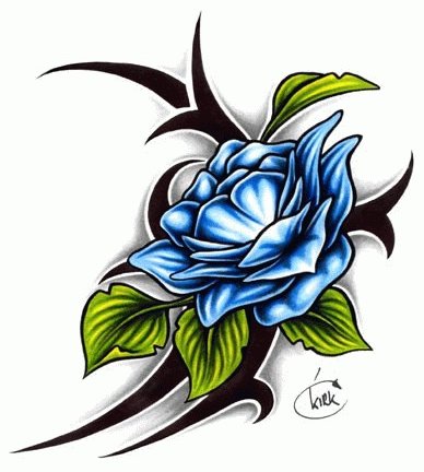 �ɵ��� �ɻ��� �ɹ��� ��Ÿ�� Rhcanstls Rhcrmfla