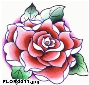 �ɵ��� �ɻ��� �ɹ��� ��Ÿ�� Rhcanstls Rhcrmfla