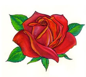 �ɵ��� �ɻ��� �ɹ��� ��Ÿ�� Rhcanstls Rhcrmfla