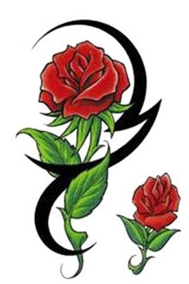 �ɵ��� �ɻ��� �ɹ��� ��Ÿ�� Rhcanstls Rhcrmfla