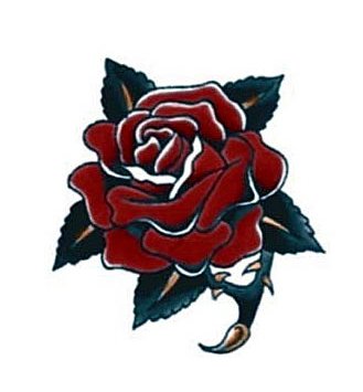 �ɵ��� �ɻ��� �ɹ��� ��Ÿ�� Rhcanstls Rhcrmfla