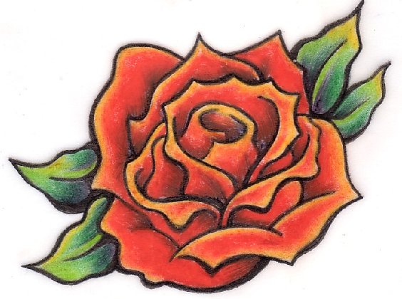 �ɵ��� �ɻ��� �ɹ��� ��Ÿ�� Rhcanstls Rhcrmfla