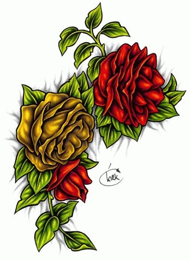 �ɵ��� �ɻ��� �ɹ��� ��Ÿ�� Rhcanstls Rhcrmfla