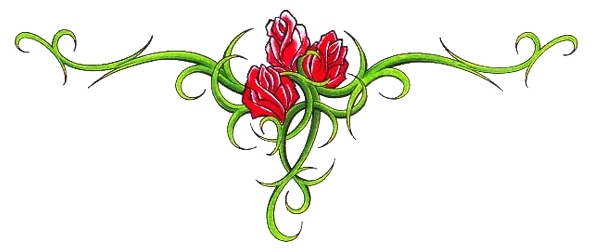�ɵ��� �ɻ��� �ɹ��� ��Ÿ�� Rhcanstls Rhcrmfla