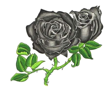 �ɵ��� �ɻ��� �ɹ��� ��Ÿ�� Rhcanstls Rhcrmfla