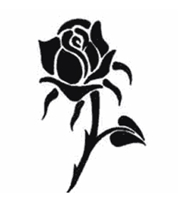 �ɵ��� �ɻ��� �ɹ��� ��Ÿ�� Rhcanstls Rhcrmfla