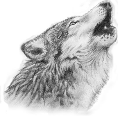 ���ڹ��� ���빮�� ǥ������ ����Ÿ�� ����Ÿ�� ǥ��Ÿ�� tkwkxkxn smreoxkxn vyqjaxkxn