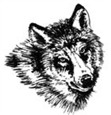 ���ڹ��� ���빮�� ǥ������ ����Ÿ�� ����Ÿ�� ǥ��Ÿ�� tkwkxkxn smreoxkxn vyqjaxkxn