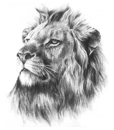 ���ڹ��� ���빮�� ǥ������ ����Ÿ�� ����Ÿ�� ǥ��Ÿ�� tkwkxkxn smreoxkxn vyqjaxkxn