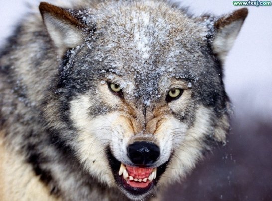 ���ڹ��� ���빮�� ǥ������ ����Ÿ�� ����Ÿ�� ǥ��Ÿ�� tkwkxkxn smreoxkxn vyqjaxkxn