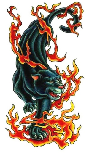 ���ڹ��� ���빮�� ǥ������ ����Ÿ�� ����Ÿ�� ǥ��Ÿ�� tkwkxkxn smreoxkxn vyqjaxkxn