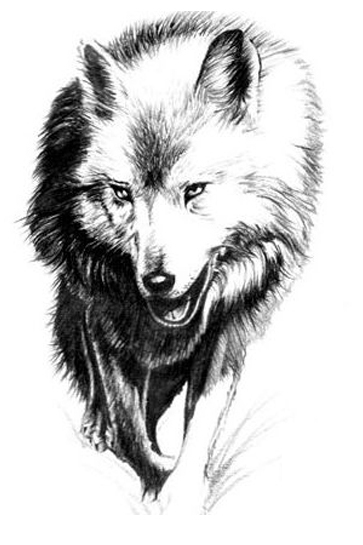 ���ڹ��� ���빮�� ǥ������ ����Ÿ�� ����Ÿ�� ǥ��Ÿ�� tkwkxkxn smreoxkxn vyqjaxkxn