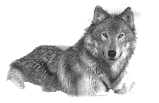 ���ڹ��� ���빮�� ǥ������ ����Ÿ�� ����Ÿ�� ǥ��Ÿ�� tkwkxkxn smreoxkxn vyqjaxkxn