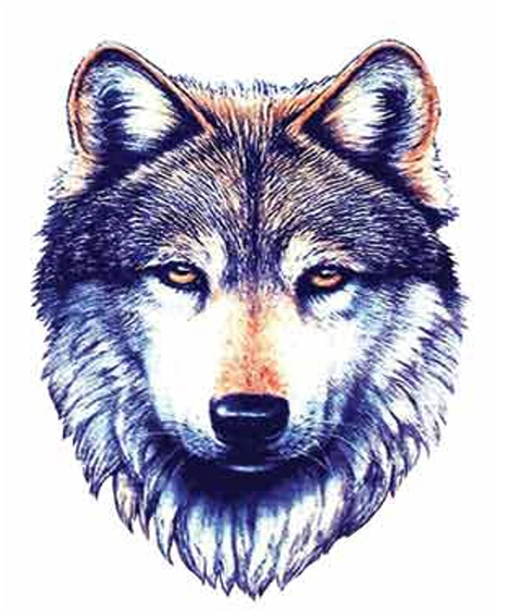 ���ڹ��� ���빮�� ǥ������ ����Ÿ�� ����Ÿ�� ǥ��Ÿ�� tkwkxkxn smreoxkxn vyqjaxkxn