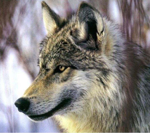 ���ڹ��� ���빮�� ǥ������ ����Ÿ�� ����Ÿ�� ǥ��Ÿ�� tkwkxkxn smreoxkxn vyqjaxkxn