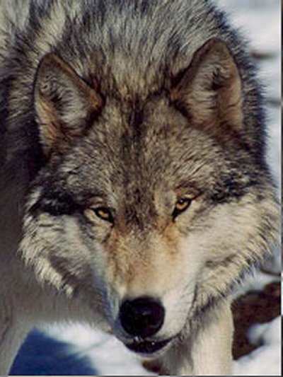 ���ڹ��� ���빮�� ǥ������ ����Ÿ�� ����Ÿ�� ǥ��Ÿ�� tkwkxkxn smreoxkxn vyqjaxkxn