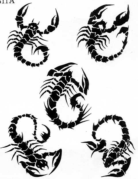 �������� �Ź̹��� ����Ÿ�� �Ź�Ÿ�� wjsrkf rjal wjsrkfanstls rjalanstls