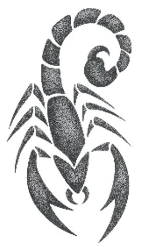 �������� �Ź̹��� ����Ÿ�� �Ź�Ÿ�� wjsrkf rjal wjsrkfanstls rjalanstls