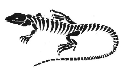 �������� �Ź̹��� ����Ÿ�� �Ź�Ÿ�� wjsrkf rjal wjsrkfanstls rjalanstls