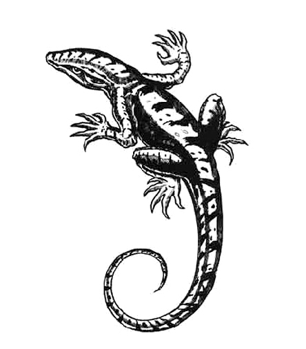 �������� �Ź̹��� ����Ÿ�� �Ź�Ÿ�� wjsrkf rjal wjsrkfanstls rjalanstls