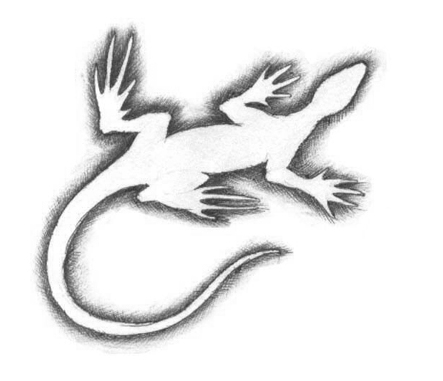 �������� �Ź̹��� ����Ÿ�� �Ź�Ÿ�� wjsrkf rjal wjsrkfanstls rjalanstls