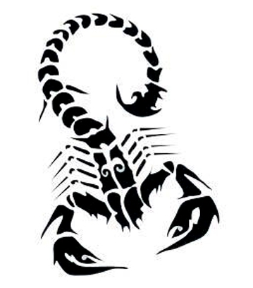 �������� �Ź̹��� ����Ÿ�� �Ź�Ÿ�� wjsrkf rjal wjsrkfanstls rjalanstls