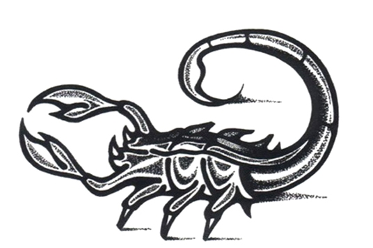 �������� �Ź̹��� ����Ÿ�� �Ź�Ÿ�� wjsrkf rjal wjsrkfanstls rjalanstls