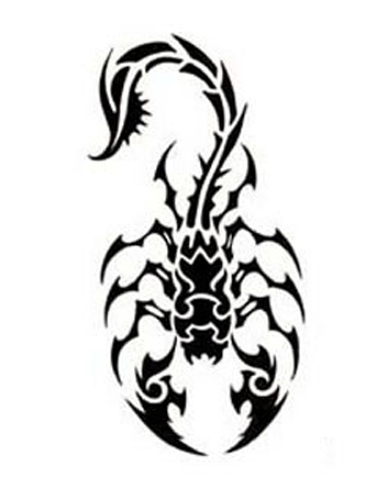 �������� �Ź̹��� ����Ÿ�� �Ź�Ÿ�� wjsrkf rjal wjsrkfanstls rjalanstls