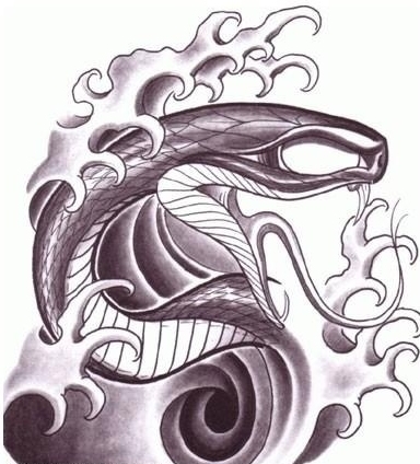 qoaanstls qoaxkxn qoa �칮�� ��Ÿ�� �쵵�� ��׸� qoarmfla