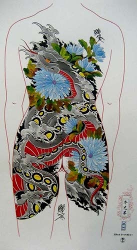 qoaanstls qoaxkxn qoa �칮�� ��Ÿ�� �쵵�� ��׸� qoarmfla