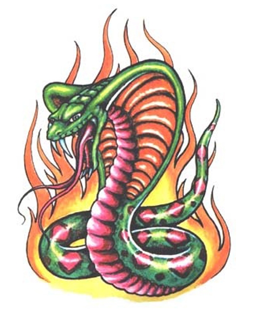 qoaanstls qoaxkxn qoa �칮�� ��Ÿ�� �쵵�� ��׸� qoarmfla