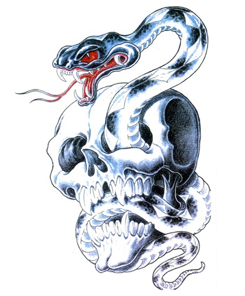 qoaanstls qoaxkxn qoa �칮�� ��Ÿ�� �쵵�� ��׸� qoarmfla