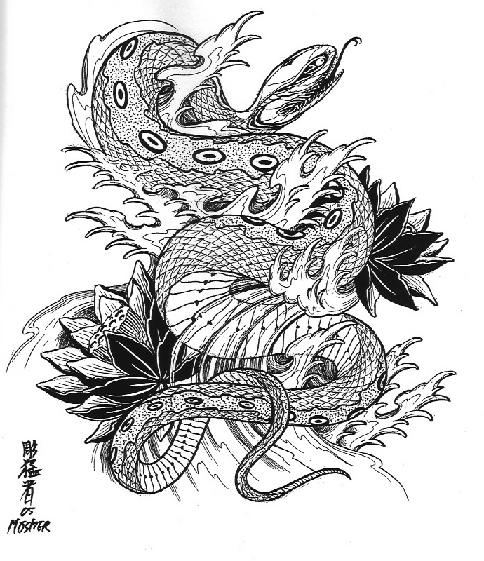 ���� �׸�