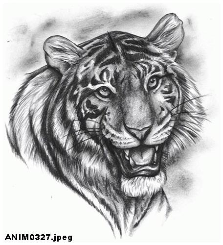 ghfkddl ghfkddlehdks ghfkddlxkxn ȣ���̹��� ȣ����Ÿ��