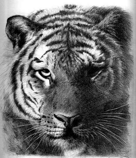 ghfkddl ghfkddlehdks ghfkddlxkxn ȣ���̹��� ȣ����Ÿ��