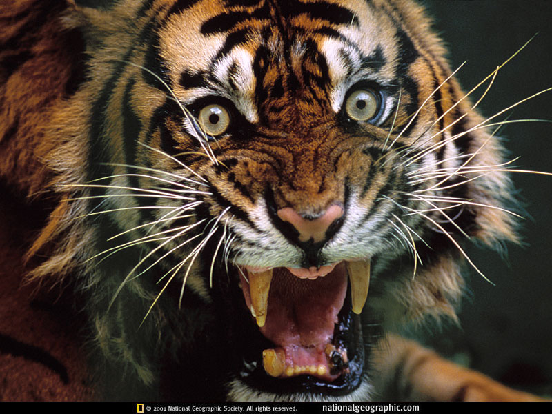 ghfkddl ghfkddlehdks ghfkddlxkxn ȣ���̹��� ȣ����Ÿ��