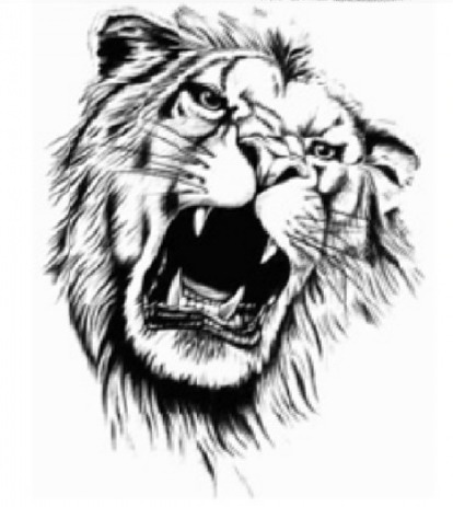 ghfkddl ghfkddlehdks ghfkddlxkxn ȣ���̹��� ȣ����Ÿ��