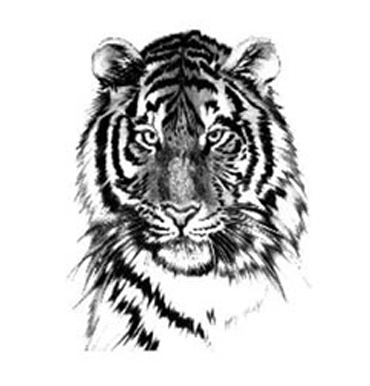 ghfkddl ghfkddlehdks ghfkddlxkxn ȣ���̹��� ȣ����Ÿ��