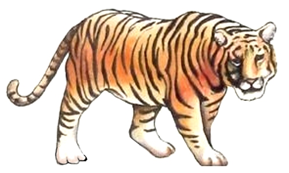 ghfkddl ghfkddlehdks ghfkddlxkxn ȣ���̹��� ȣ����Ÿ��