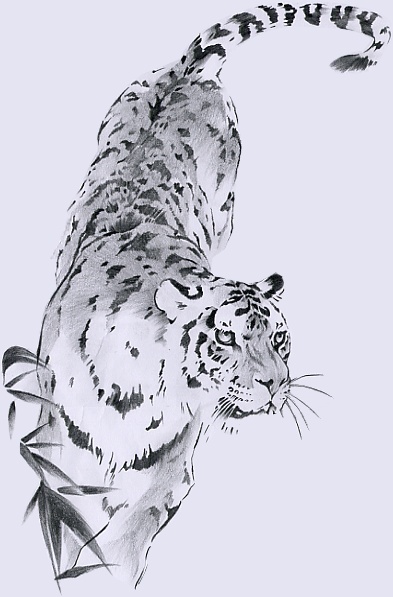 Ÿ�� ����