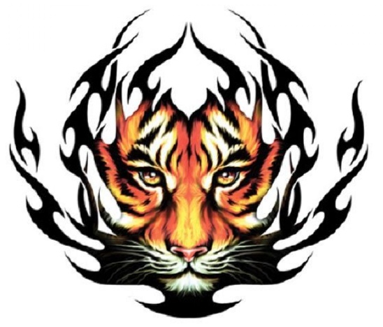 �뱸 Ʈ���̹�