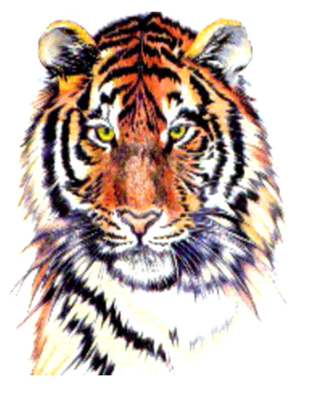 �뱸 ���͸� ����