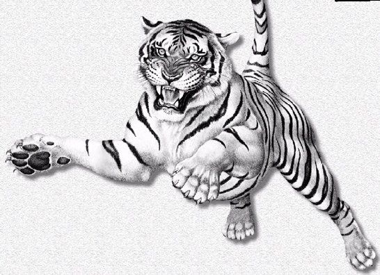 ���� ����