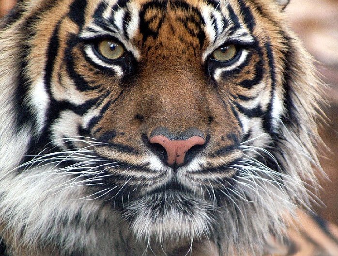 �߱�����