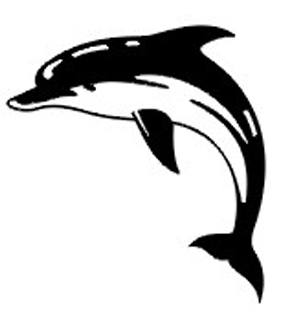 Ʈ���̹� xmfkdlqjf anstls xmfkdlqjfxkxn Ʈ���̹����� Ʈ���̹����� Ʈ���̹�Ÿ��