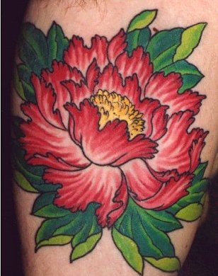 dlfpwmal anstls dlfpwmalxkxn �̷���̹��� �̷����Ÿ�� �̷���̵���